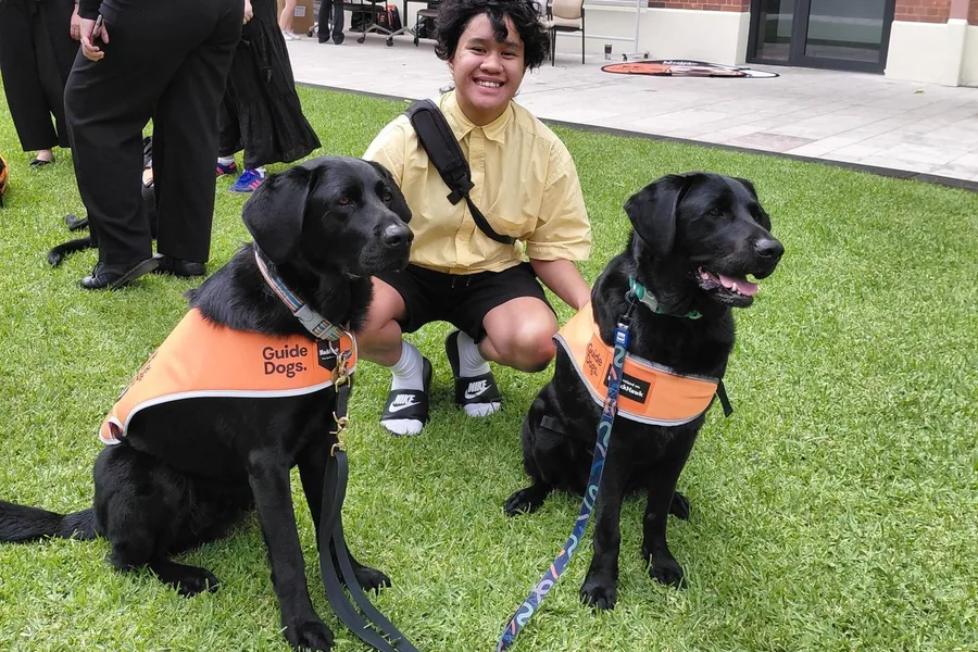 A participant meeting two assistance dogs at a community event